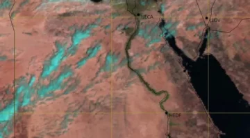 الأرصاد تعلن تفاصيل الطقس الأيام المقبلة: أجواء حارة مع شبورة صباحية تؤثر على الانسيابية المرورية